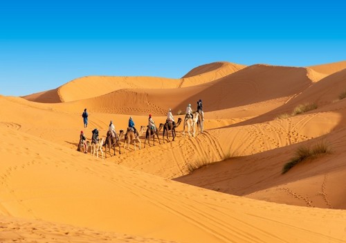 Camel trekking tours